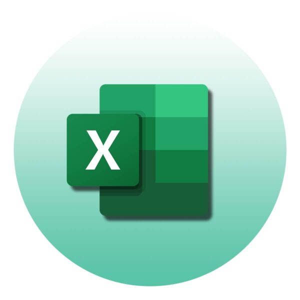 Excel Kursai su Nuolaida -35%